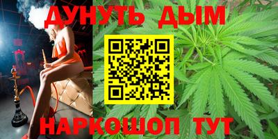 индика Краснознаменск