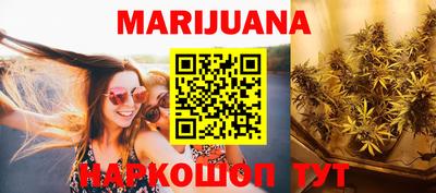 индика Краснознаменск