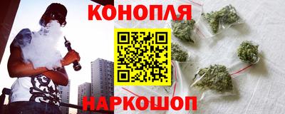 индика Краснознаменск