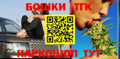 индика Краснознаменск